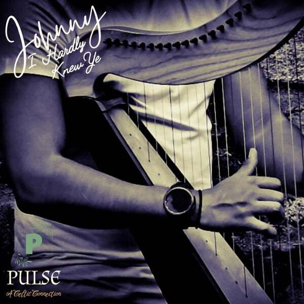 Cover art for Johhny, I Hardly Knew Ye